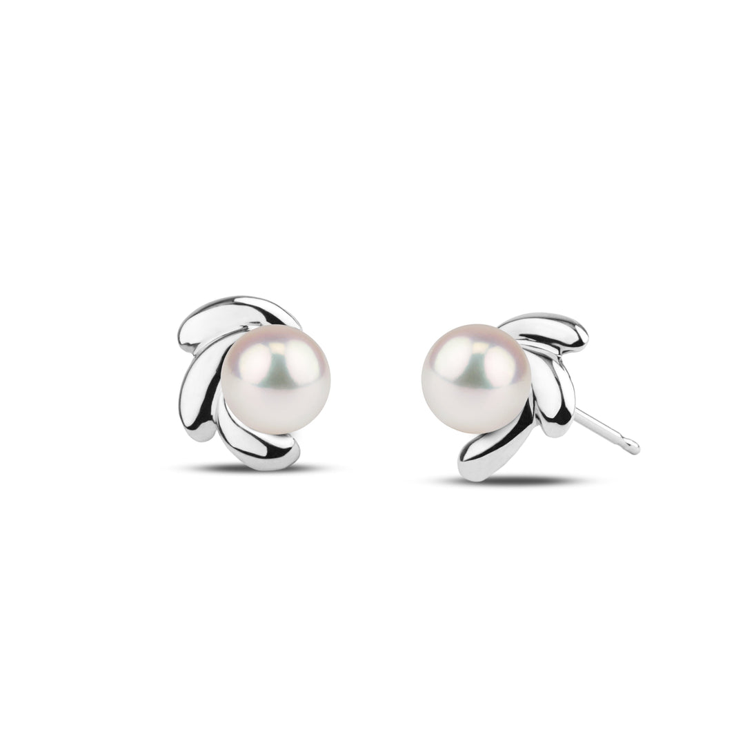 Bloom Collection 6.5-7.0 mm Akoya Pearl Earrings wg
