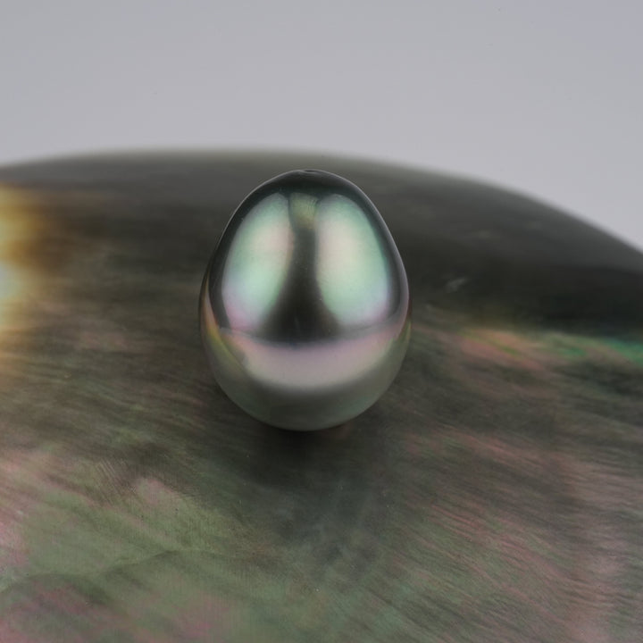 Tahitian Pearl 12.1 x 14.6 mm