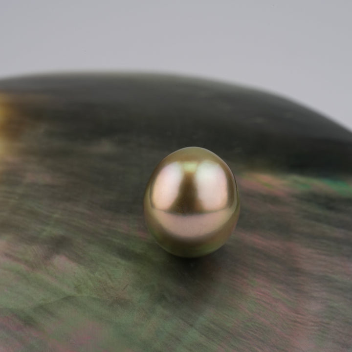 Tahitian Pearl 9.8 x 11.3 mm