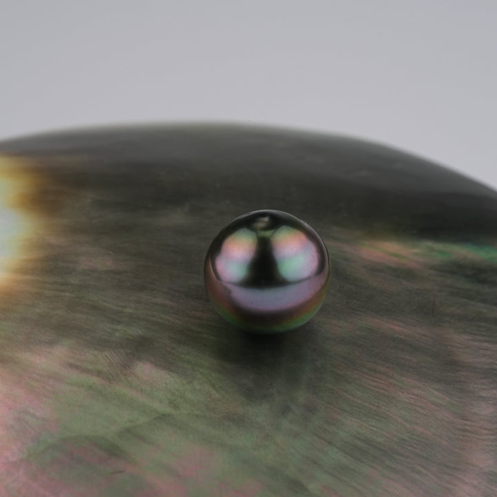 Tahitian Pearl 9.5 x 9.7 mm