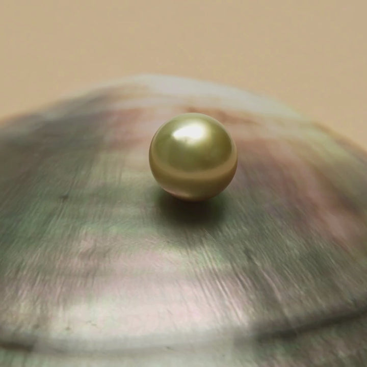 Tahitian Pearl 9.3 x 10.3 mm video