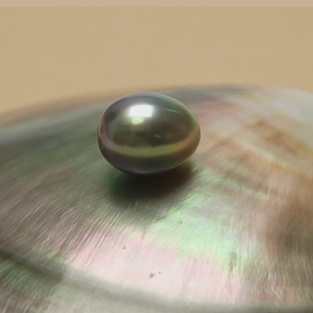 Tahitian Pearl 10.7 x 13.3 mm Video