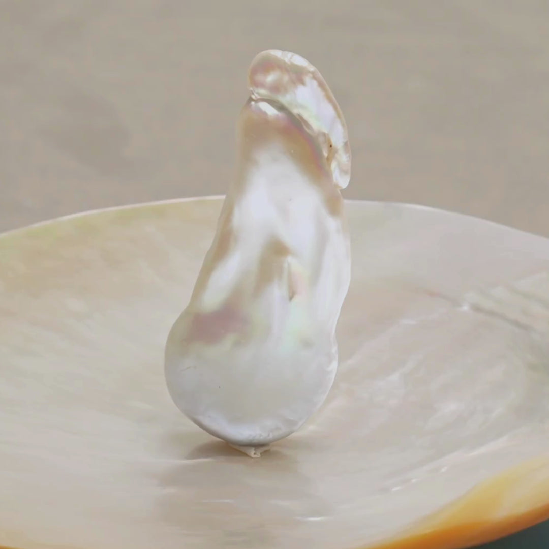 Giant Freshwater Pearl 24 x 59 mm Video