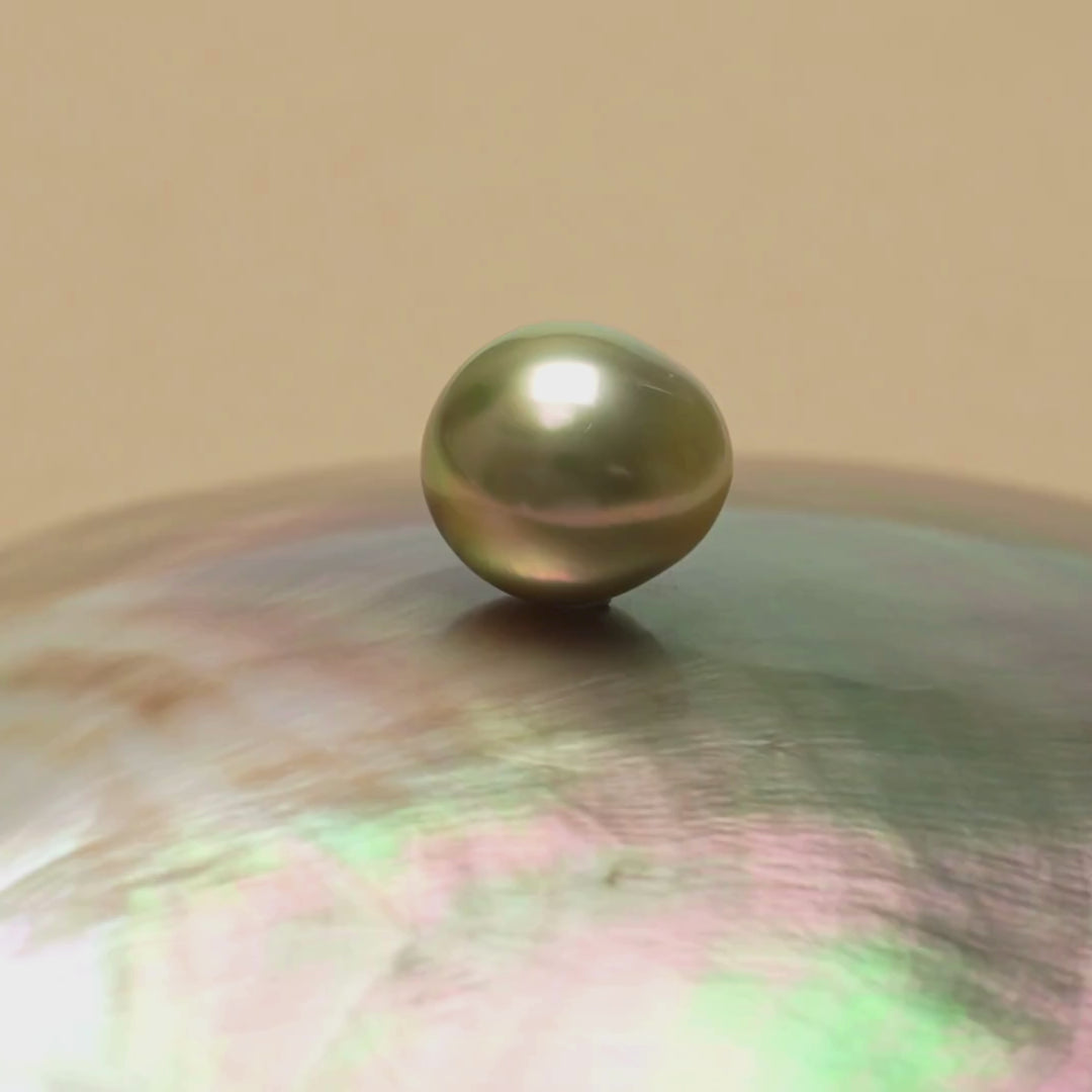 Tahitian Pearl 10.2 x 11.2 mm Video