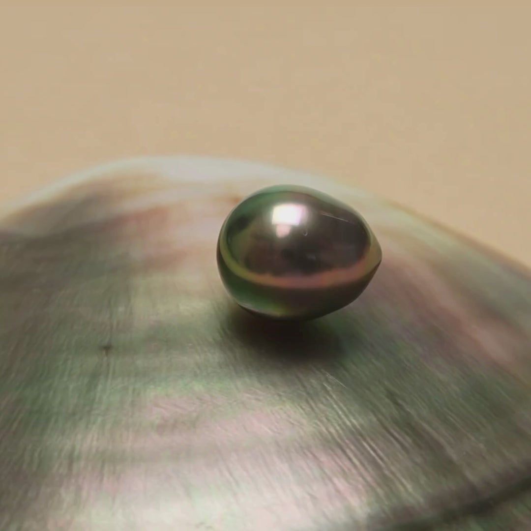 Tahitian Pearl 10.2 x 12.2 mm Video