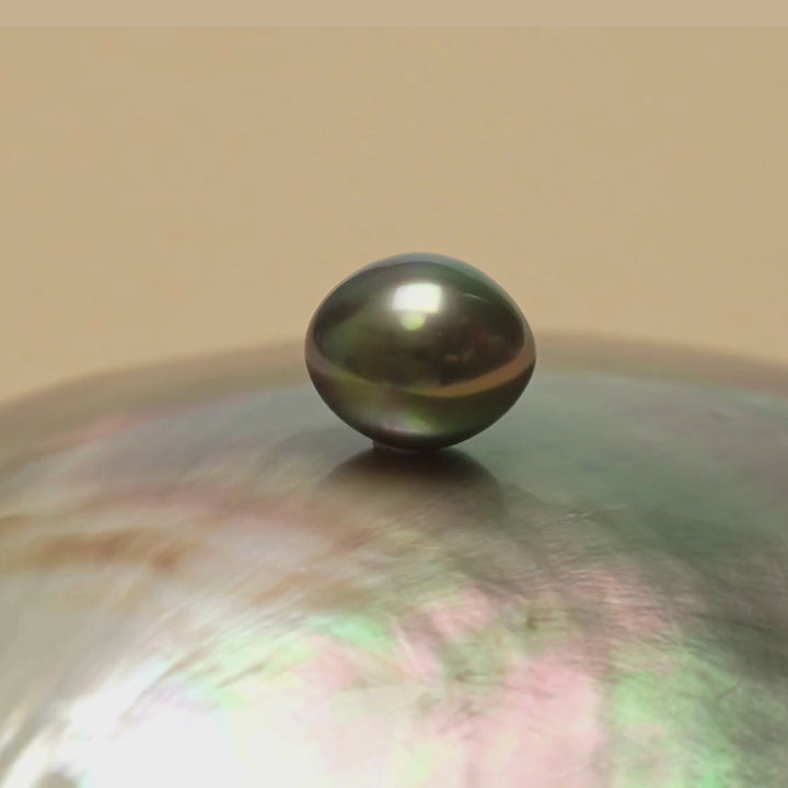 Tahitian Pearl 10.1 x 11.8 mm video