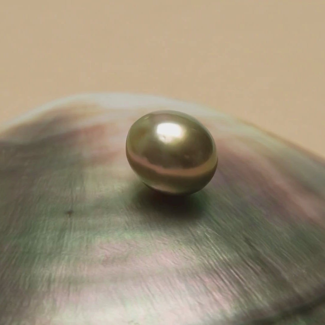 Tahitian Pearl 9.8 x 11.3 mm video