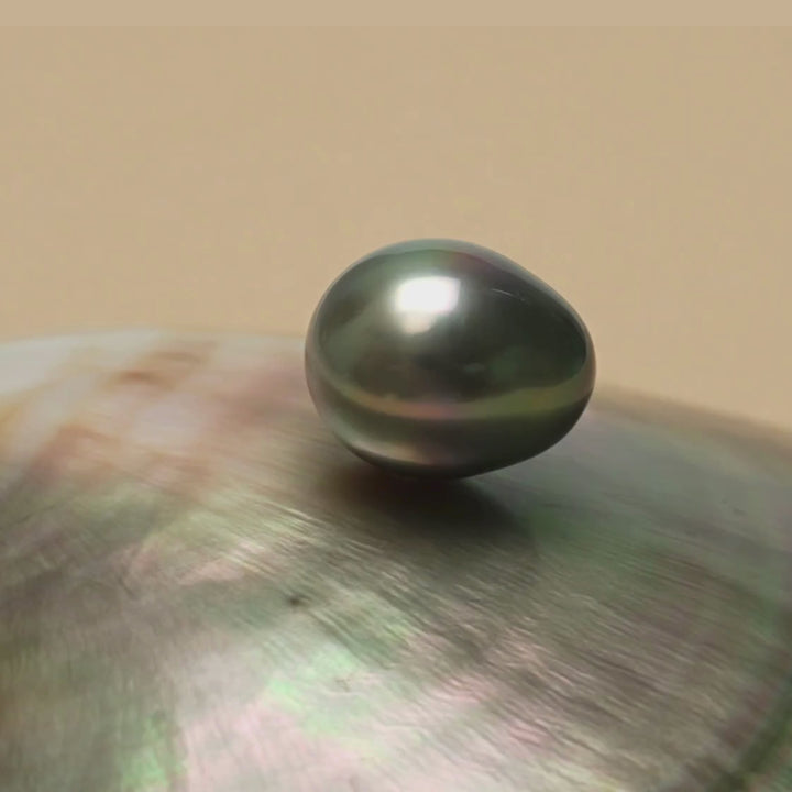 Tahitian Pearl 12.1 x 14.6 mm video