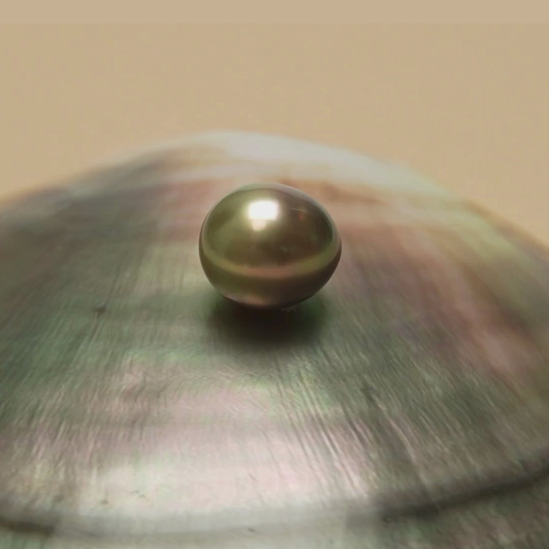 Tahitian Pearl 9.4 x 10.6 mm Video